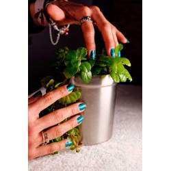 Manicura Gabriela