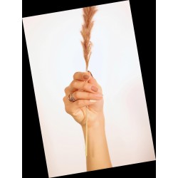 Manicura Mónica